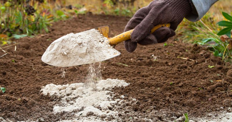 Lime Without Knowing Soil pH