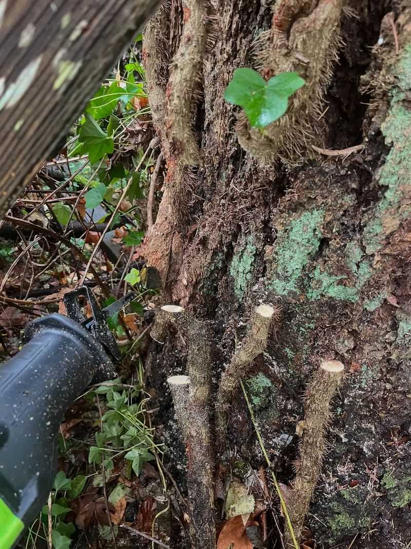 How To Remove It Properly