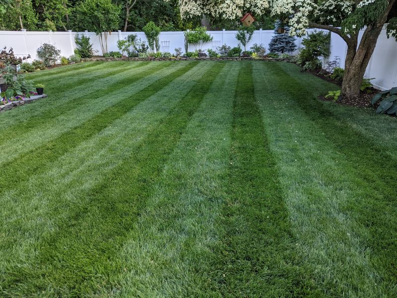 Why Timing Matters More Than Repeating Applications