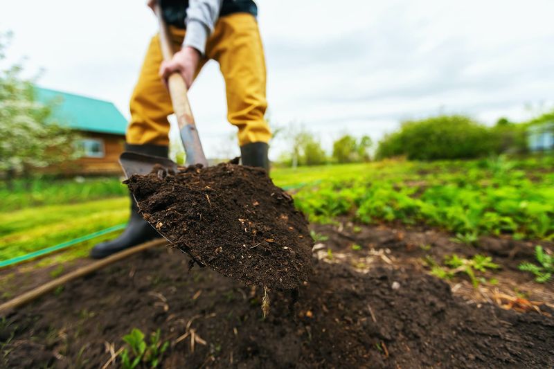 Lunar Gardening Is A Traditional Practice Lunar Gardening Is A Traditional Practice