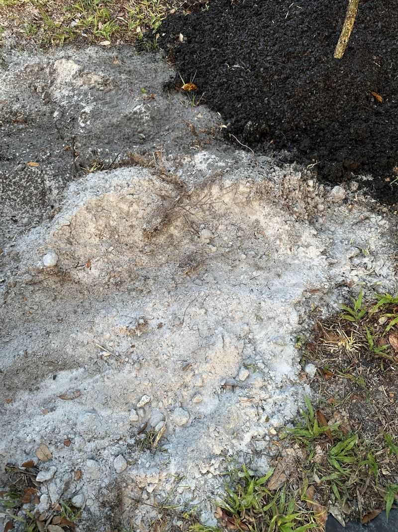 Why Florida Sandy Soil Makes This Mistake Worse