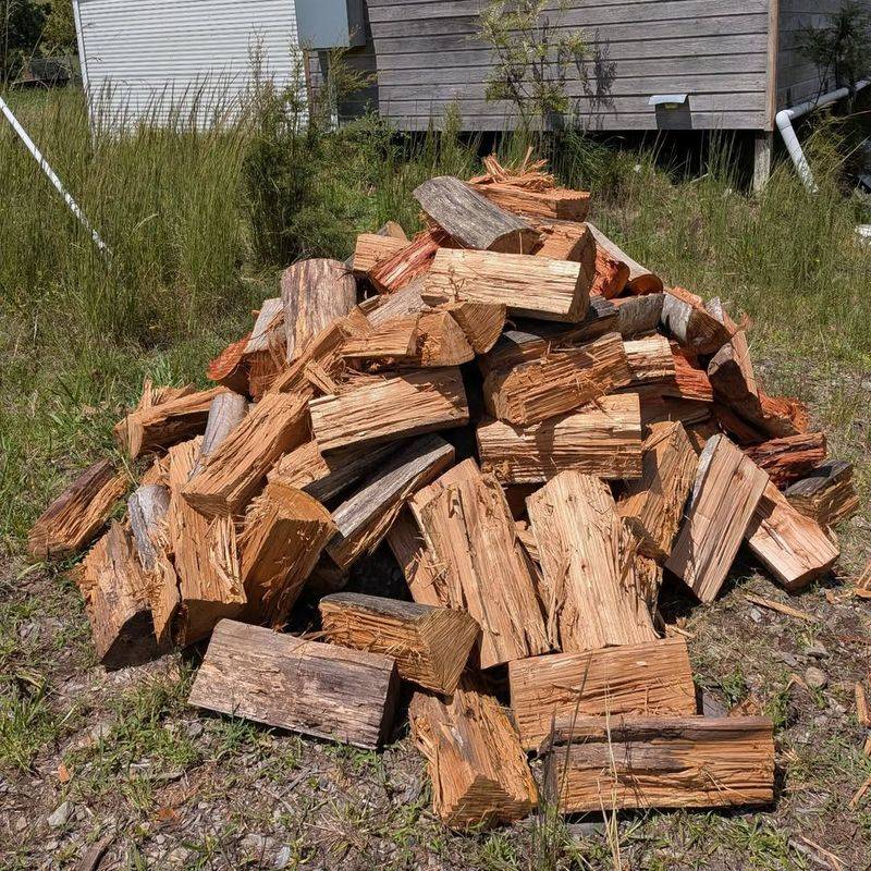 Remove Debris, Woodpiles, And Hiding Spots