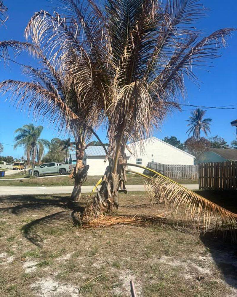 Why Texas Conditions Make The Problem Worse