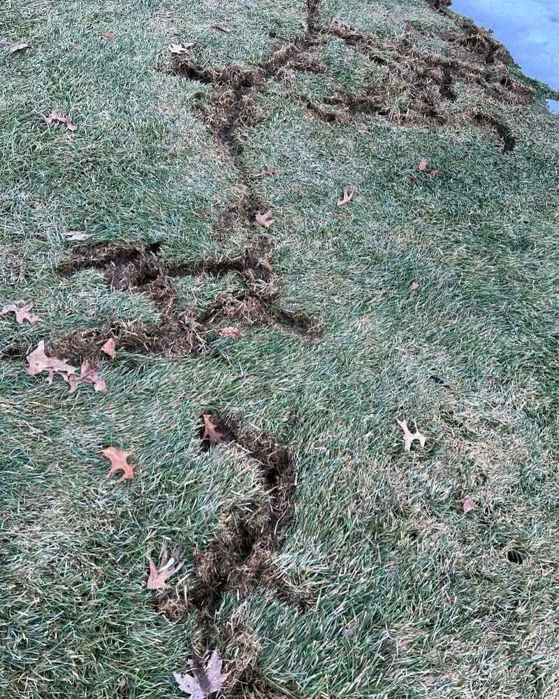 What To Do Before They Spread