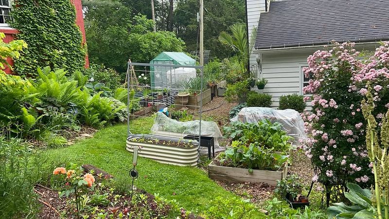 Avoid Pesticides To Protect Firefly Larvae