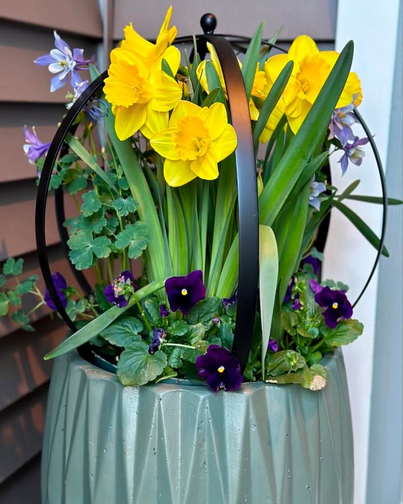 Plant Early-Blooming Flowers To Kick Off Spring Color