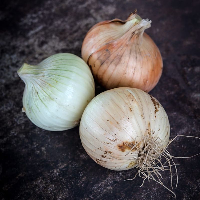 Choose The Right Onion Type For Your Region