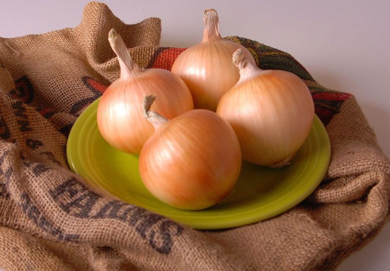 Choosing The Right Onion Types For Texas Growing Seasons