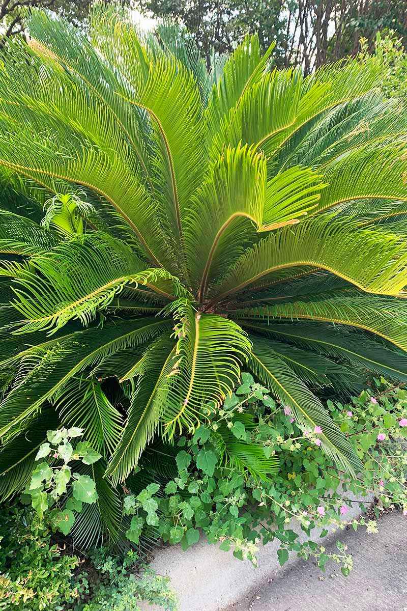 Choose The Right Climate Zone First