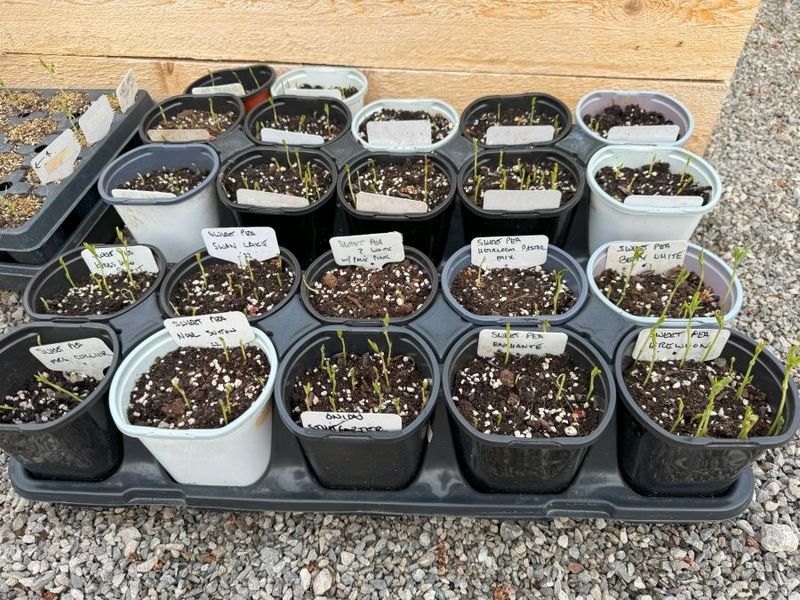 Start Gradually To Prevent Sunburn And Stress