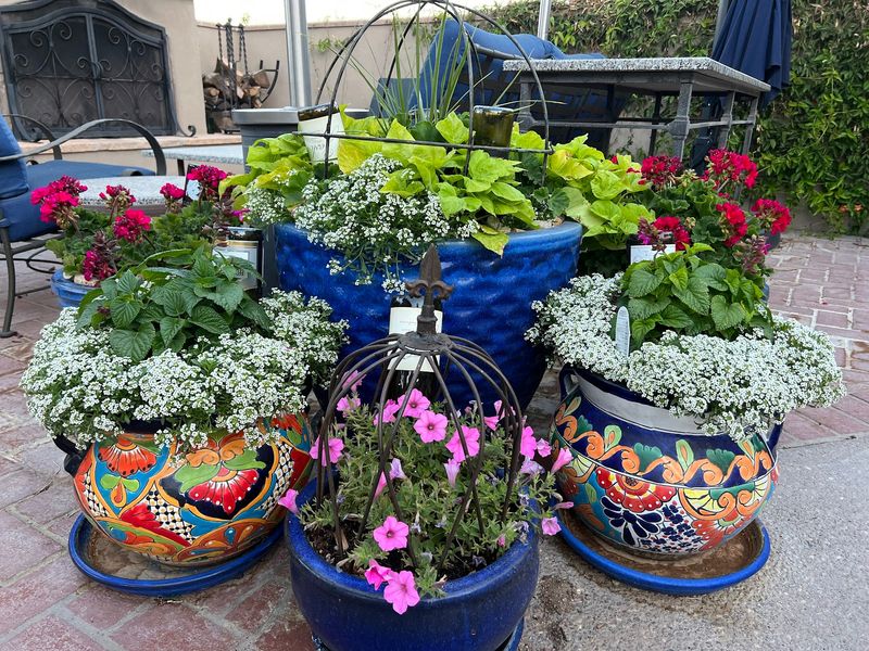 Choose Larger Containers That Hold Moisture Longer