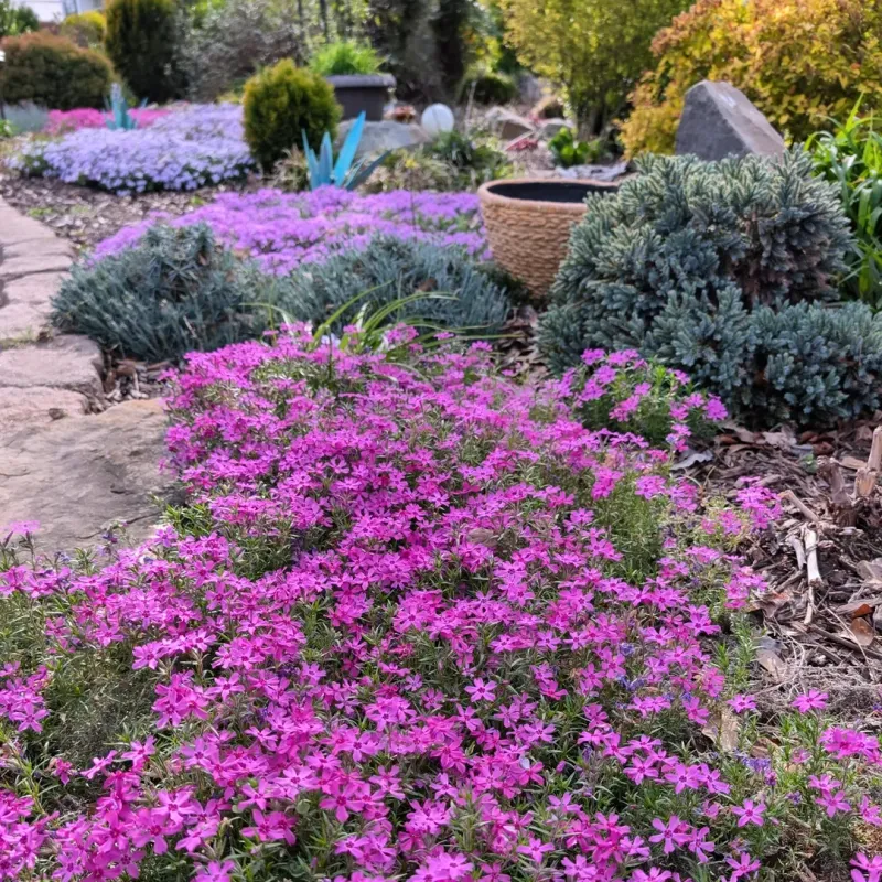 Why It's Worth Planting