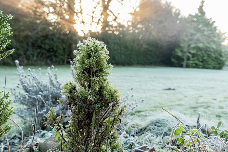 Wait Until Morning To Assess Damage