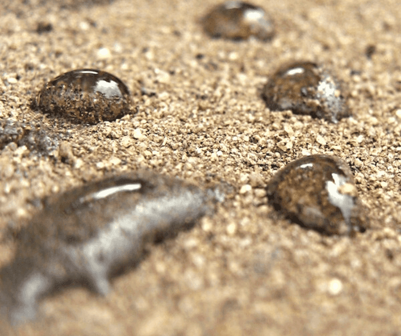 Hydrophobic Soil Starts With Extreme Dryness