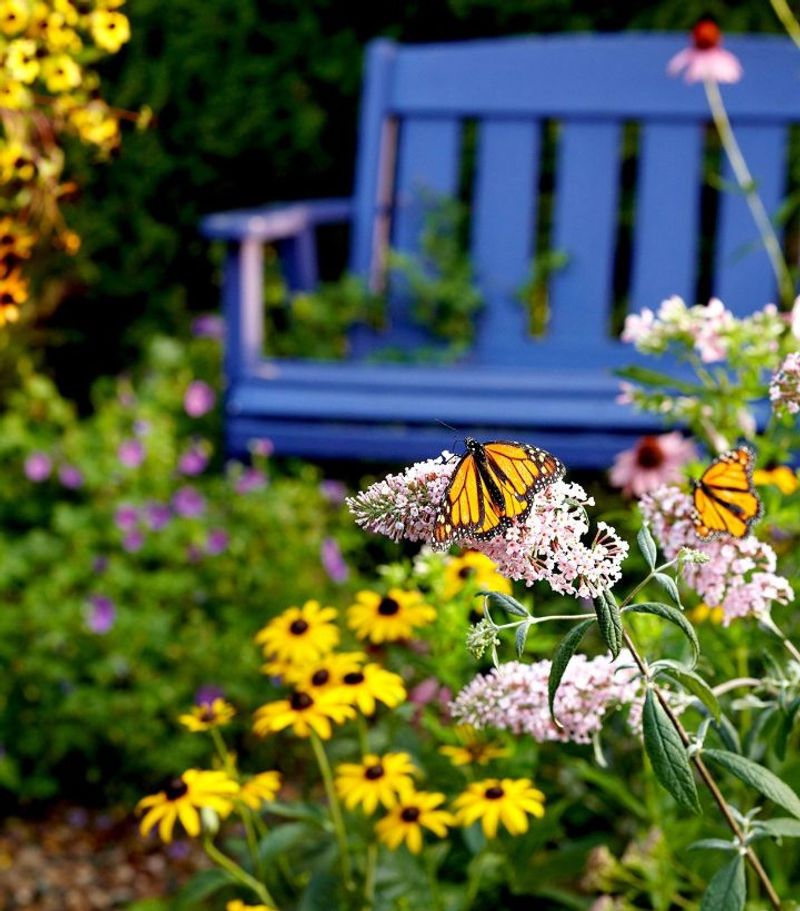Start With A Butterfly Plan Before You Start Buying Plants