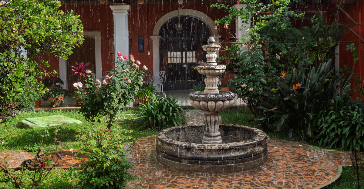 garden (featured image)