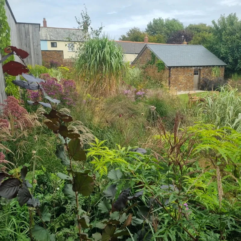 Standing Water Around Plants After Rain Is A Clear Warning Sign