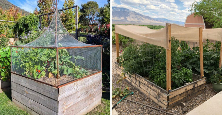 How To Use Shade Cloth In May To Protect Arizona Plants From Heat