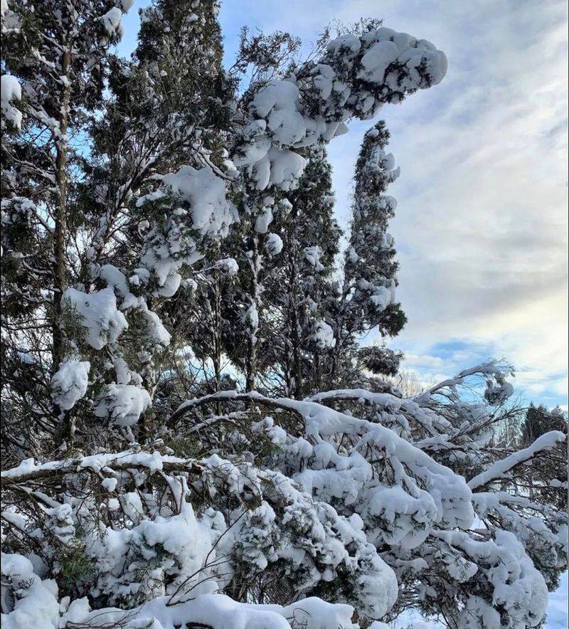 Winter Wind Makes The Problem Worse