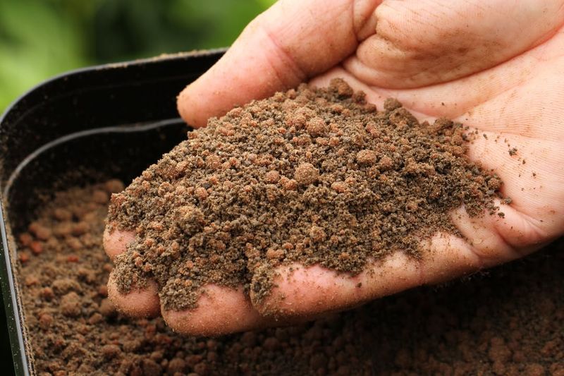 Skipping Soil Improvement In Sandy Soil