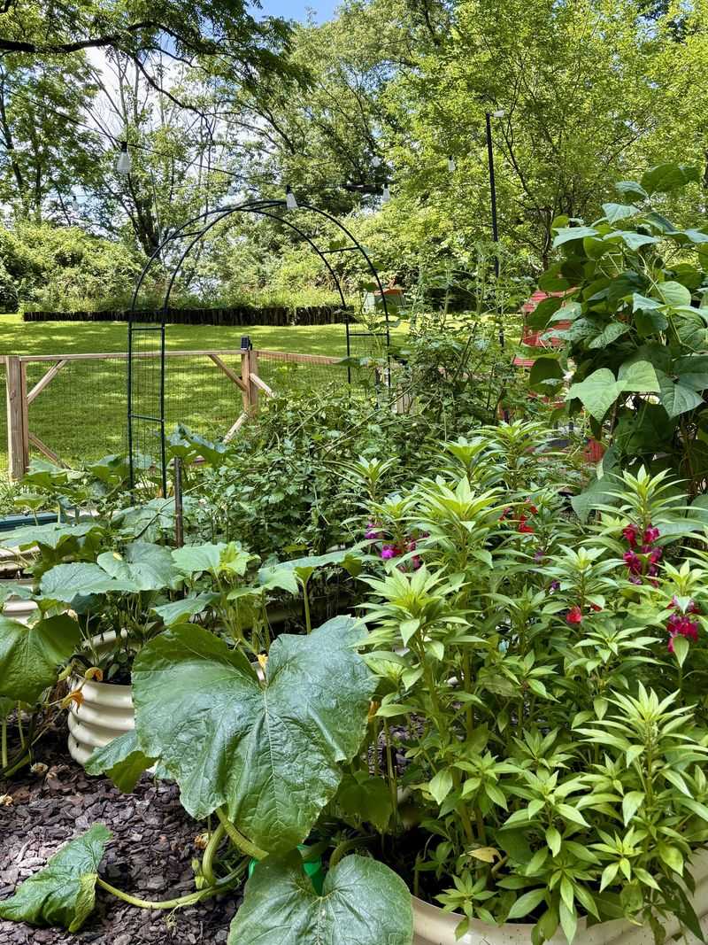 Crowding Plants Too Closely