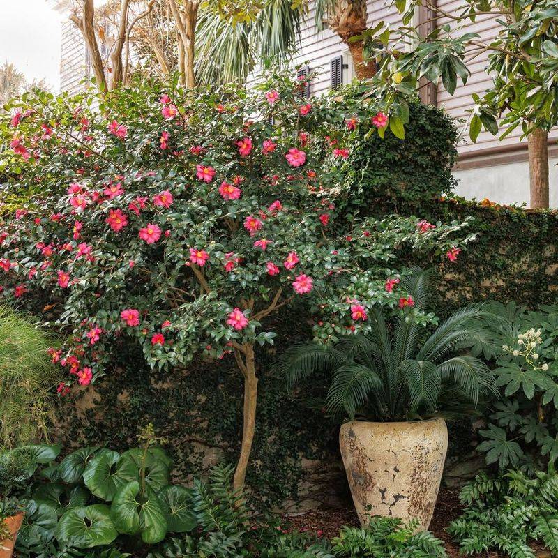 Protect From Harsh Afternoon Sun