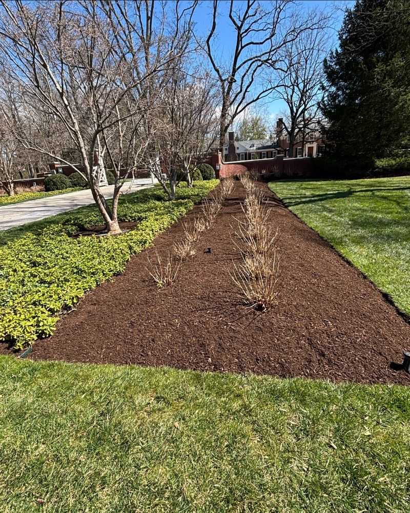 Use Mulch To Help Balance Moisture And Prevent Saturation