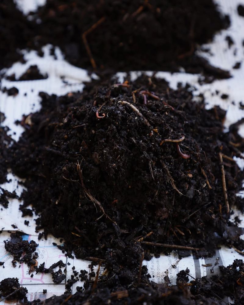 Use Low-Salt Fertilizers To Reduce Accumulation