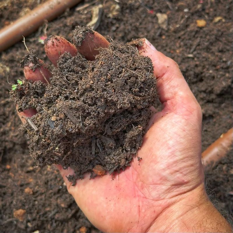 Add Organic Matter To Help Soil Hold Moisture Without Staying Soggy