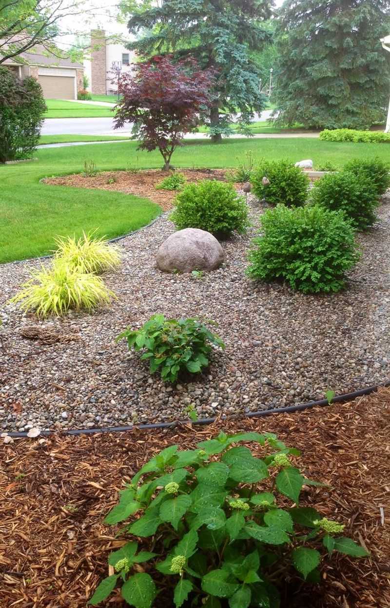 Use Mulch To Keep Roots Cool And Moist