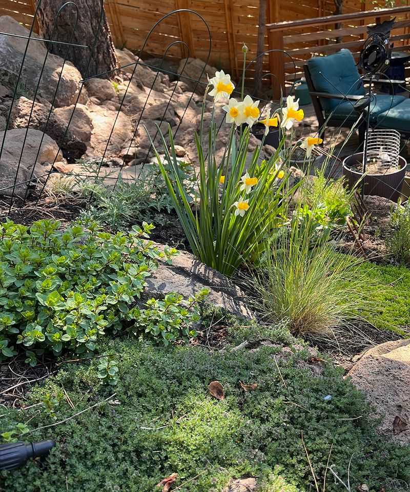 Add Year-Round Interest