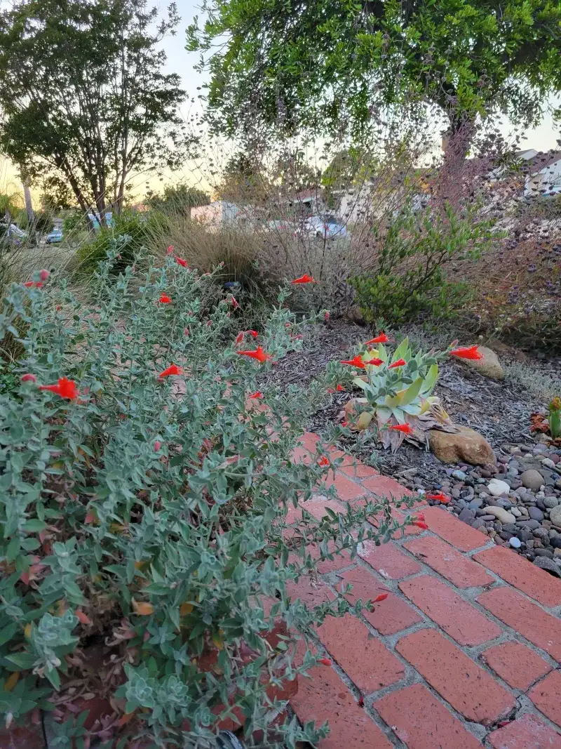 As A Soft Spiller Near Paths Or Bed Edges