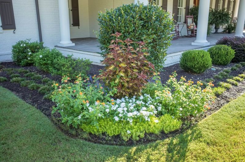 Create Defined Garden Borders And Edging
