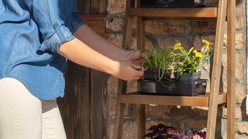 Monitor Soil Moisture And Keep Seedlings Hydrated