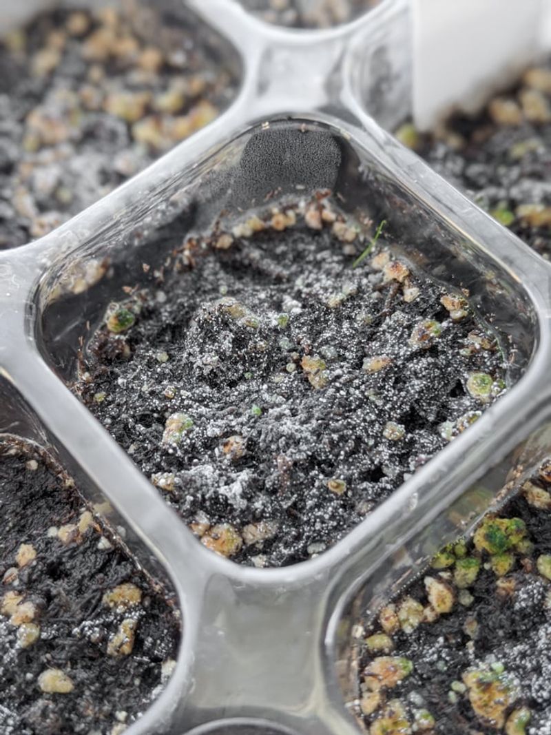 Poor Drainage Keeps Soil Wet Longer Than Expected