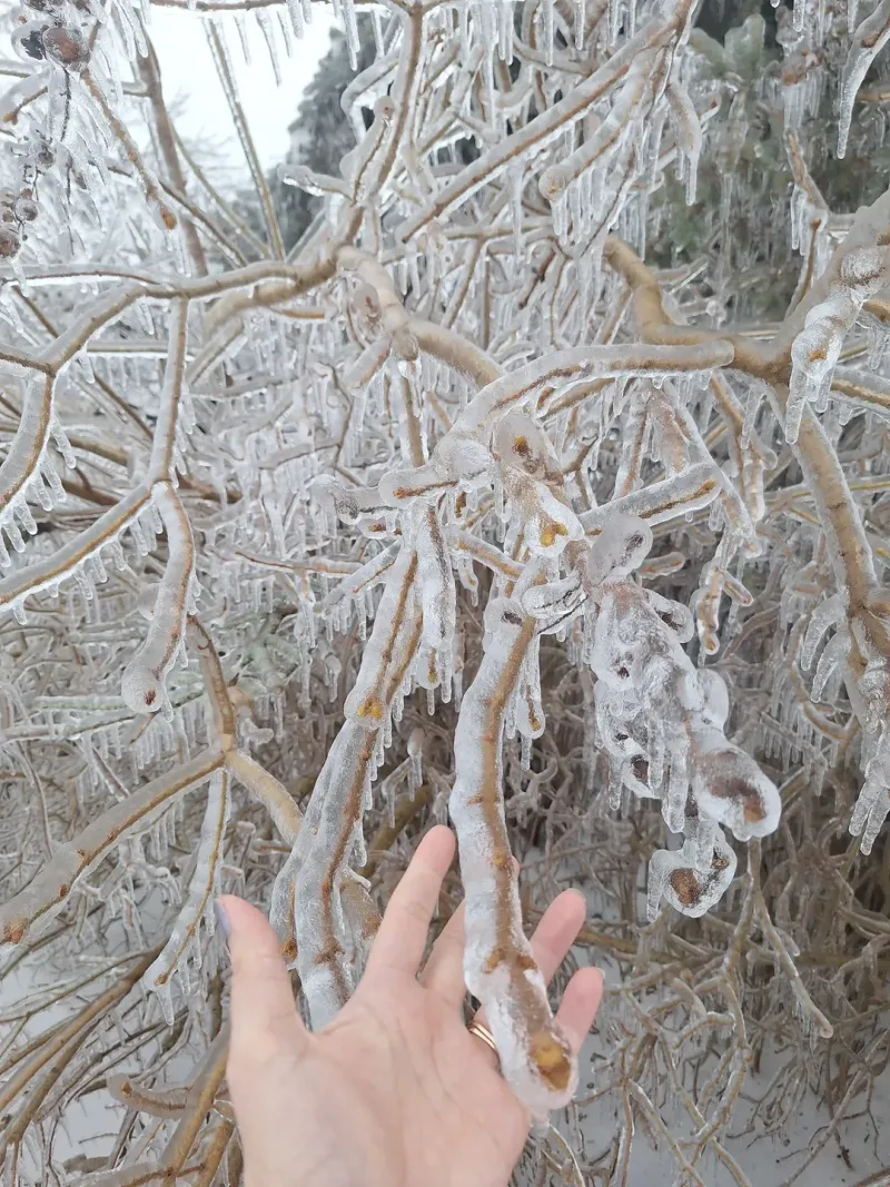 Upper Peninsula Gardeners Face A Frost Reality That Is Truly Different