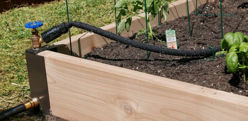 Adjust Watering As Temperatures Rise