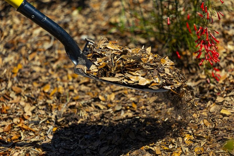 Mulch To Conserve Water