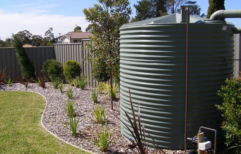 Add Rainwater Harvesting Basins Or Tanks