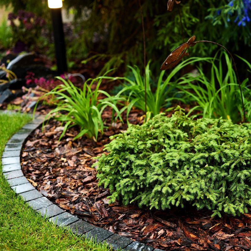 Mulch To Hold Moisture And Reduce Heat Stress