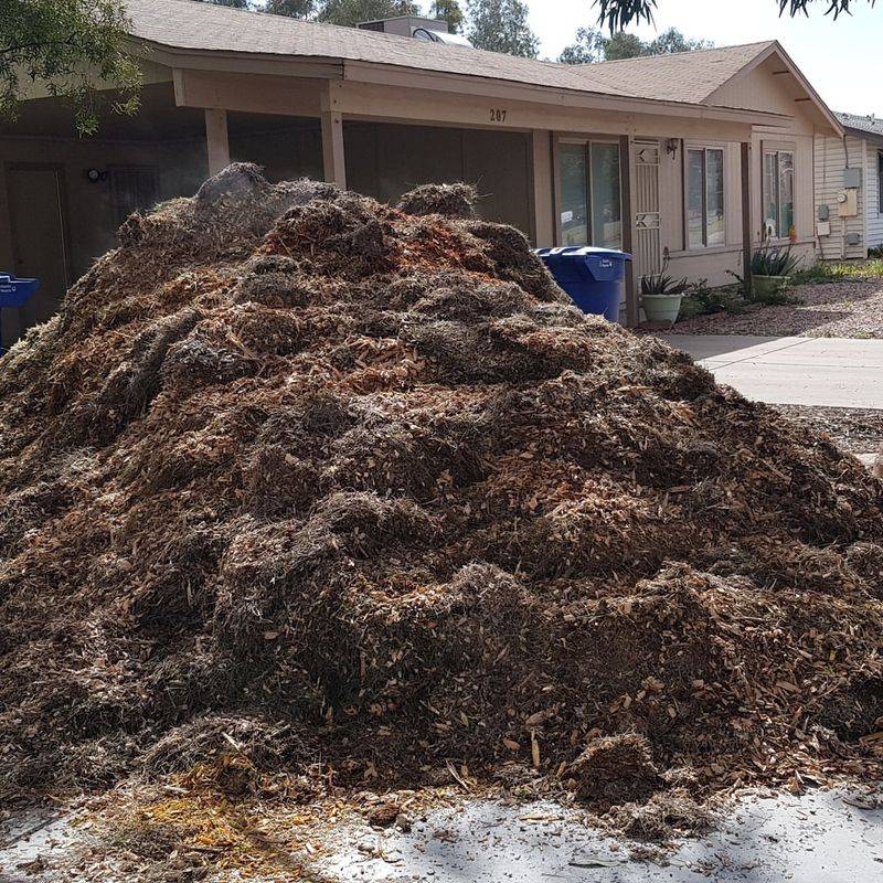 Mulch Helps Reduce Moisture Loss In Early Warm Periods