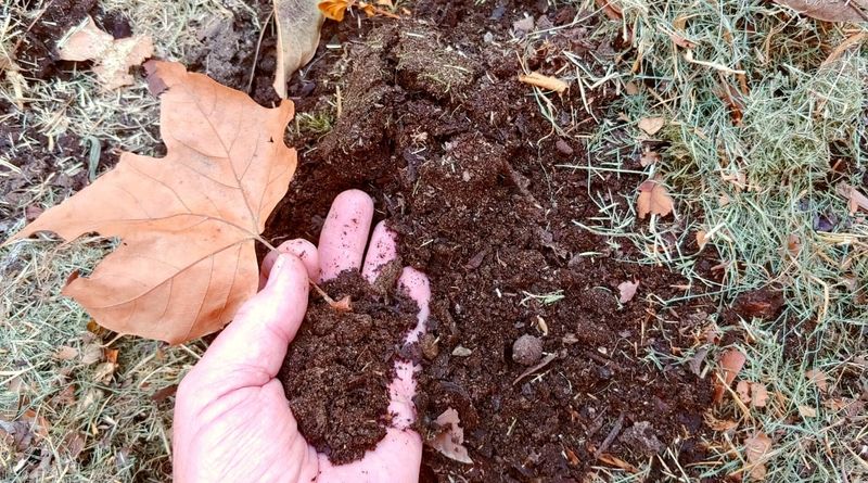 It Slowly Feeds Soil With Organic Matter