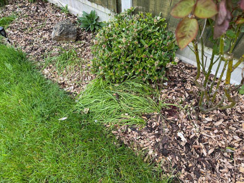 Fewer Weeds Get A Head Start