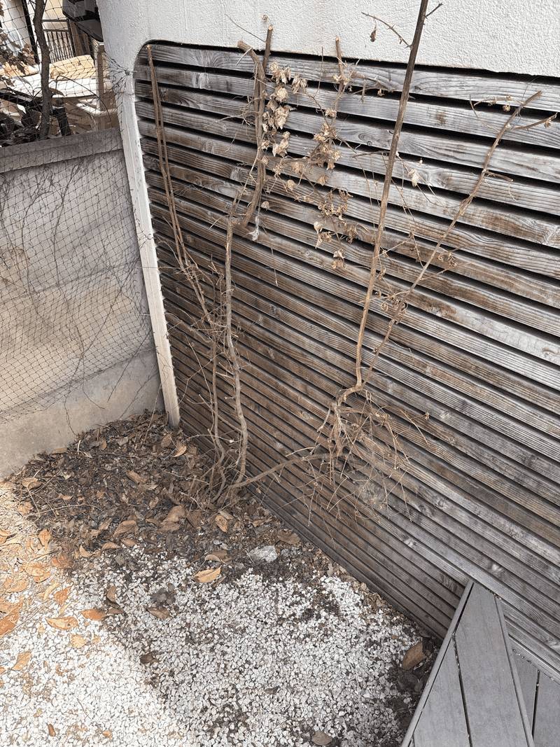 Avoid Hard Pruning During Peak Heat