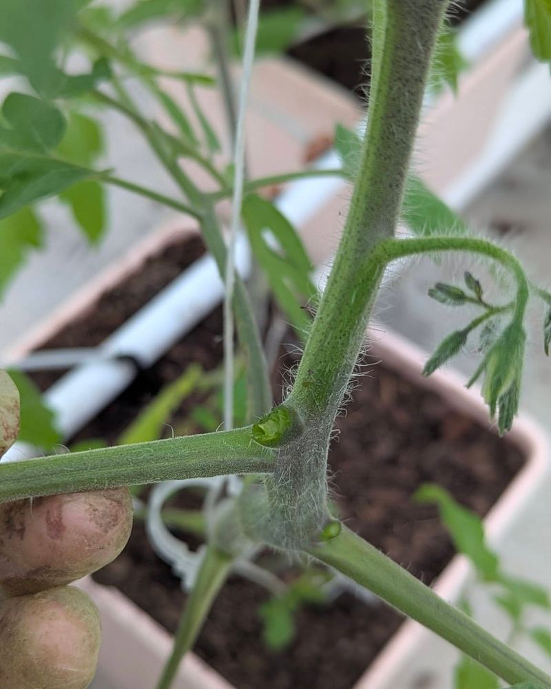 The Sucker Is Not Your Enemy, It Is Your Decision