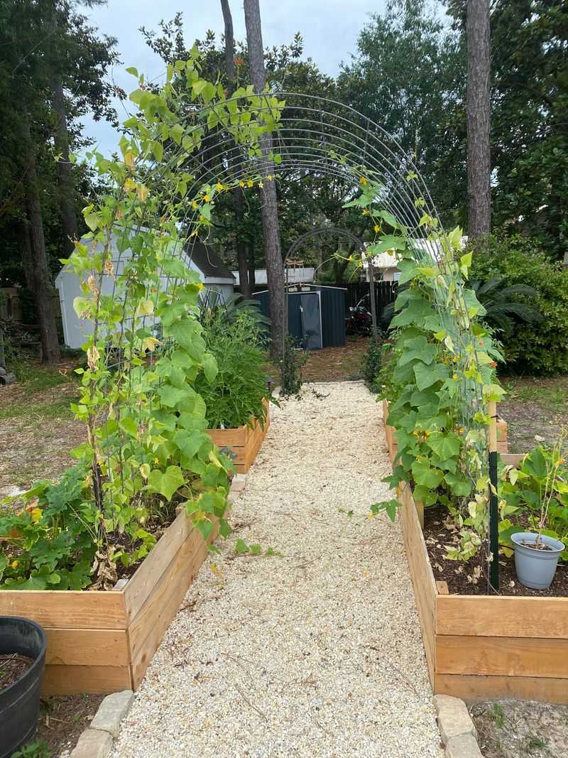 Arch Setup Expands Growing Area