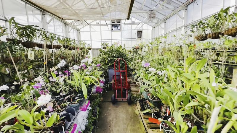 South Texas Botanical Gardens & Nature Center