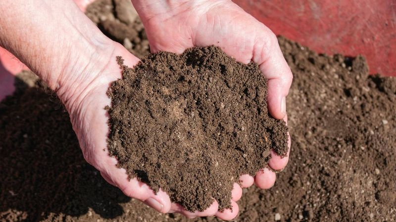 Straight Topsoil Layered On Top