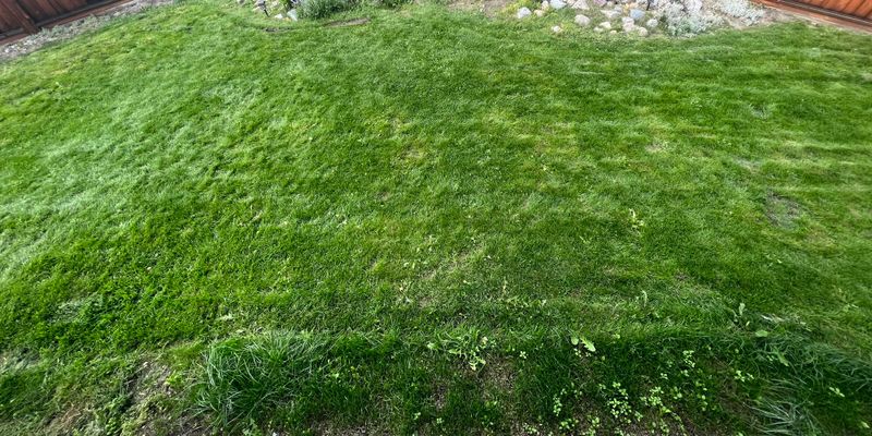 Nutrients Leach Out During Heavy Spring Rain