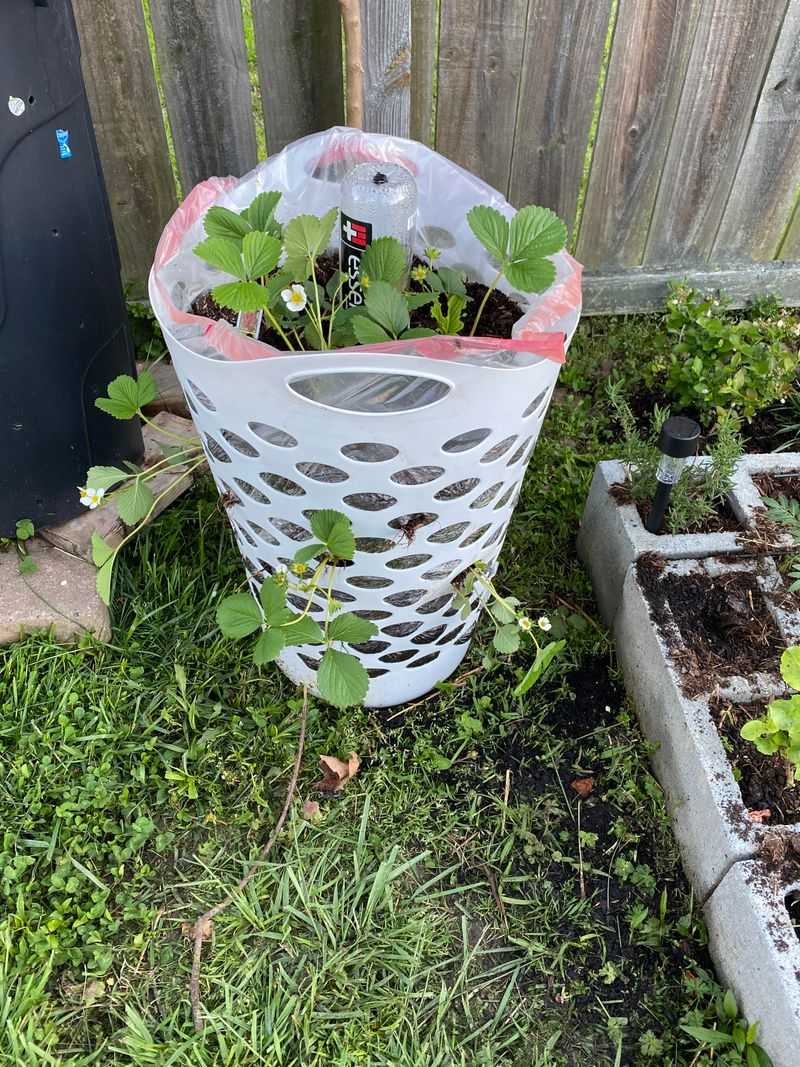 The Right Basket Size And Material Makes A Difference